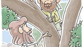 Zacchaeus jesus coloring page free printable
