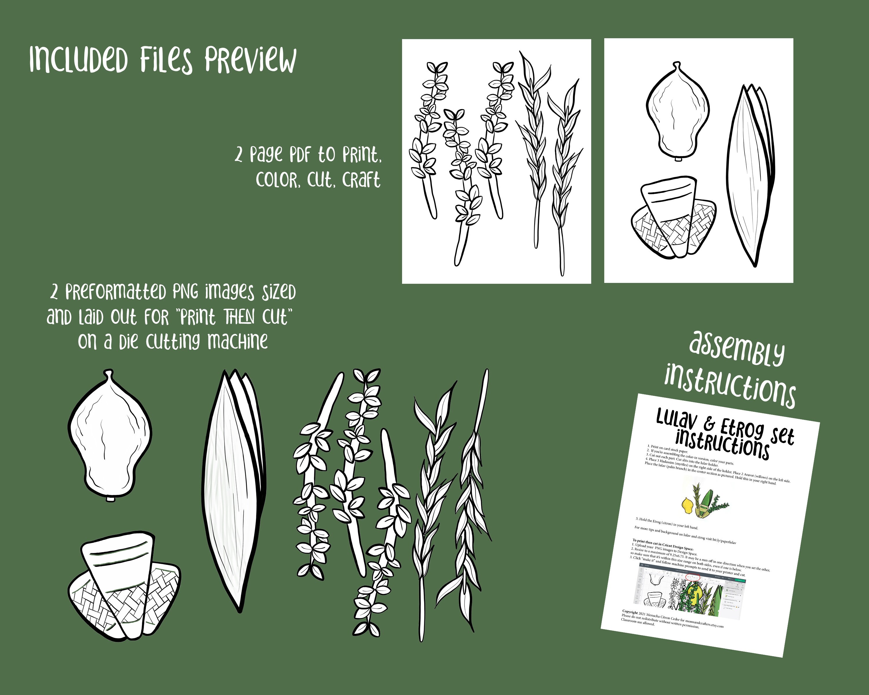 Sukkot crafts coloring pages bundle lulav and etrog set plus ushpizin puppets for kids jewish sukkos high holiday paper craft templates