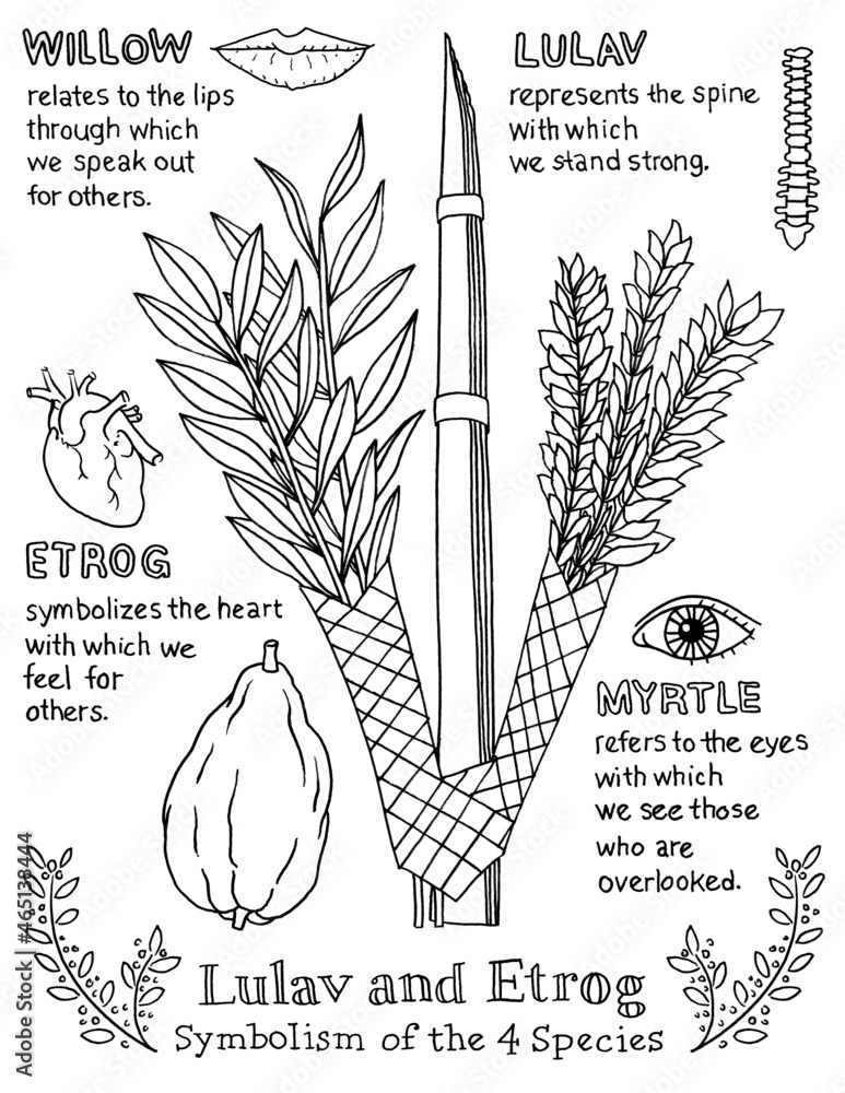 Four species of sukkot coloring page of lulav and etrog with symbols illustration