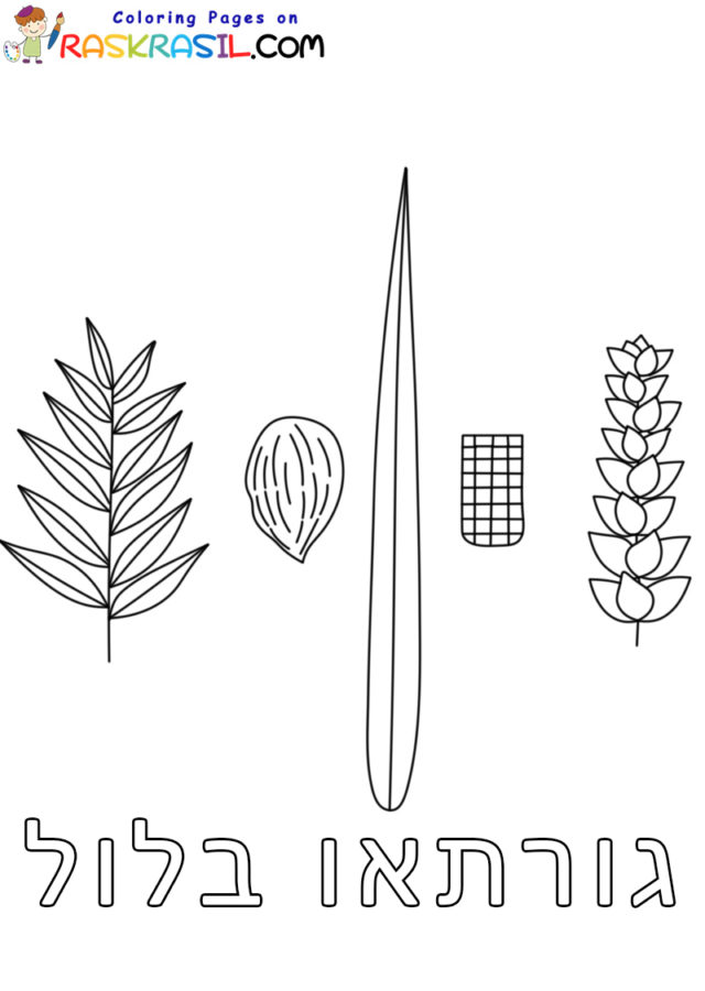 Lulav and etrog coloring pages
