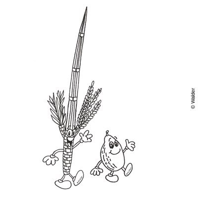 Cartooned lulav and esrog walder education