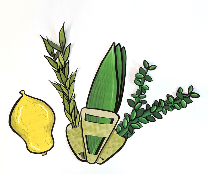 Lulav and etrog craft for kids