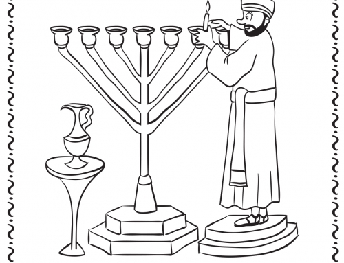 Lulav and etrog