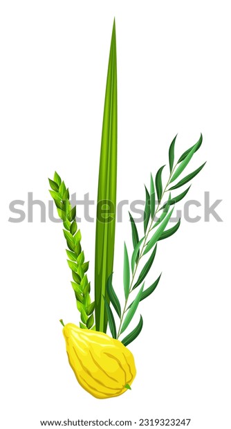 Lulav etrog images stock photos d objects vectors