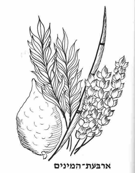 Coloring page for sukkot sukkot sukkot activities jewish crafts