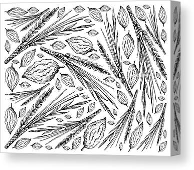 Etrog canvas prints wall art for sale