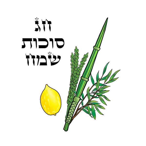 Etrog vector images
