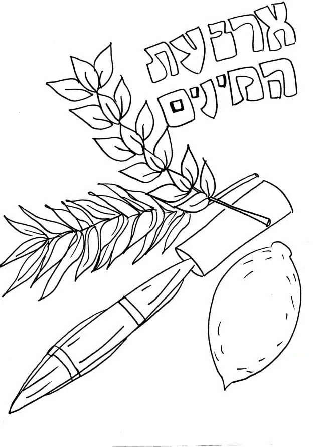 Sukkot coloring page