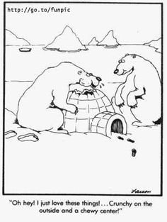 What did the inuit use to build igloos