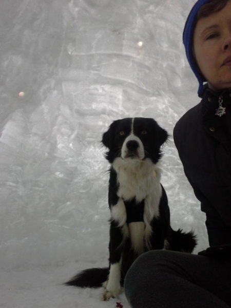 How to build a quinzhee snow structure try backyard farming