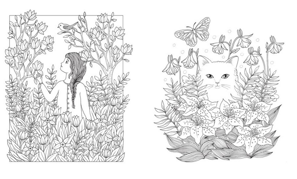 Luna coloring book angus robertson