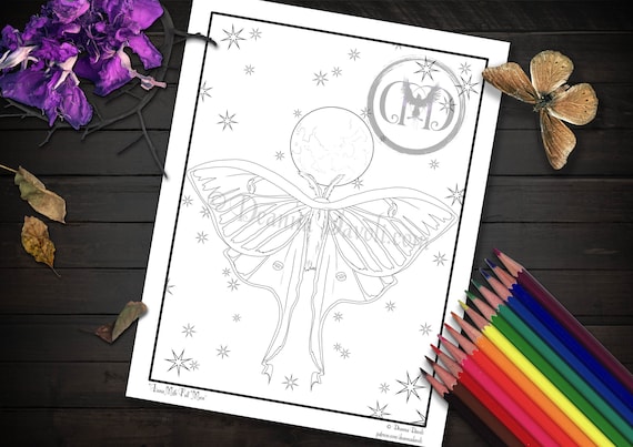 Luna moth coloring page moon phase printable digital download jpg adult coloring pages full moon child green moth mooncycle
