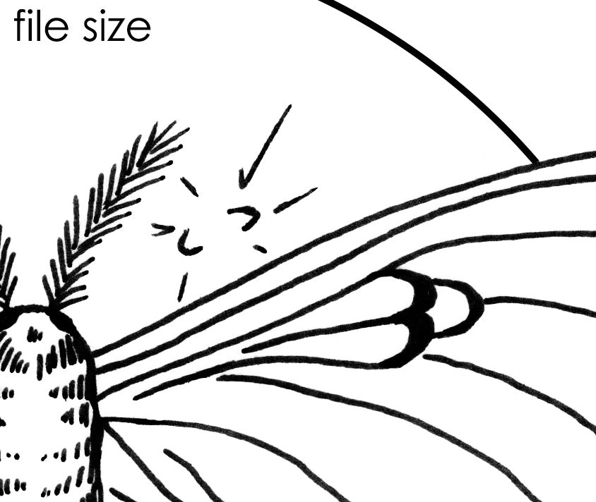 Digital file