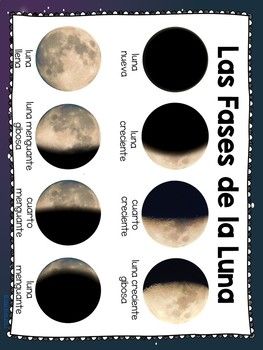 Phases of the moon activities in spanish for k