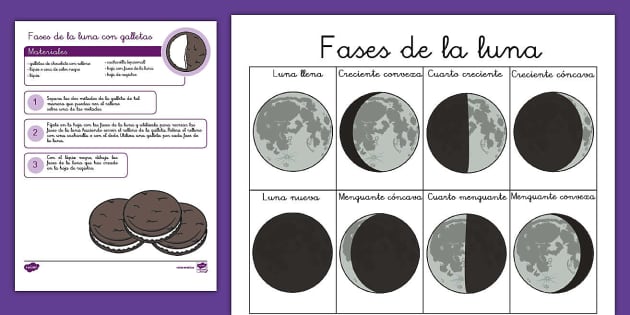 Ficha de actividad fases de la luna con galletas