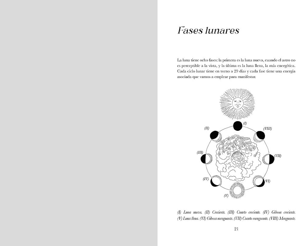 Diario de manifestaciãn manifestation diary spanish edition santos carlota books