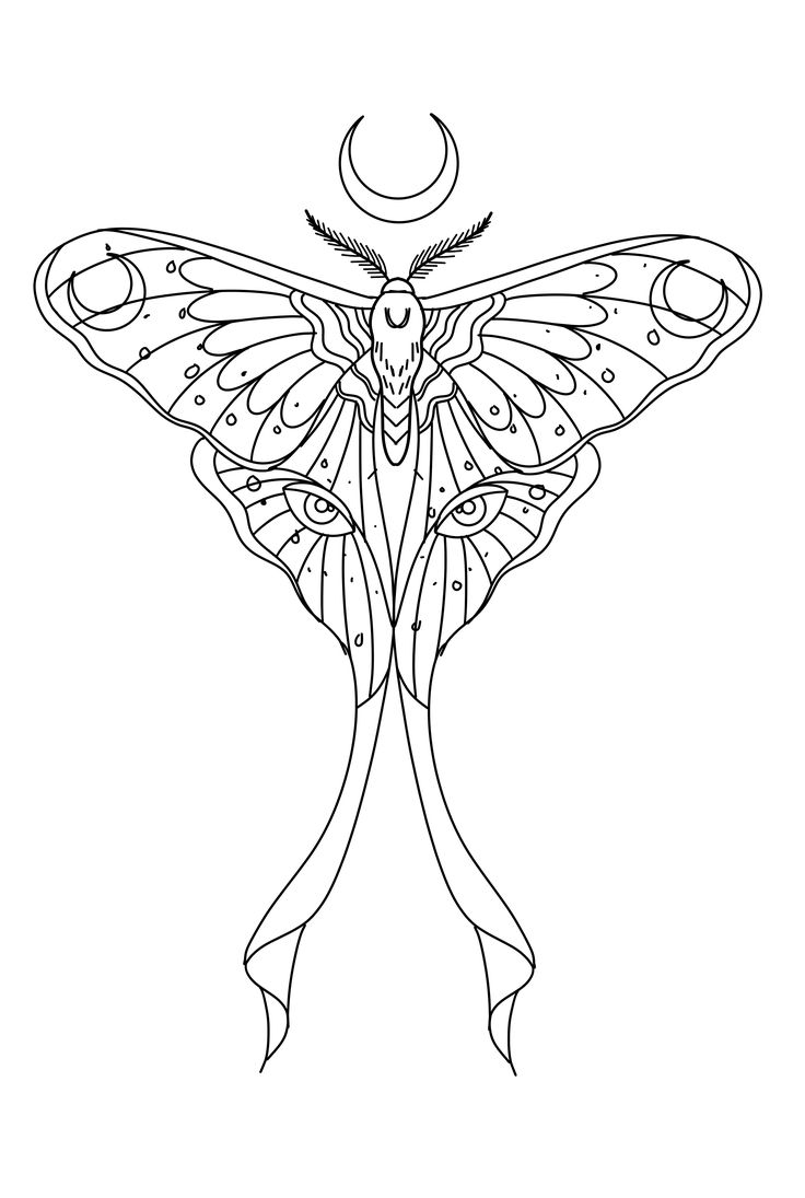 Pin by adriano koezuka on tatuagem moth tattoo design luna moth tattoo tattoo design drawings