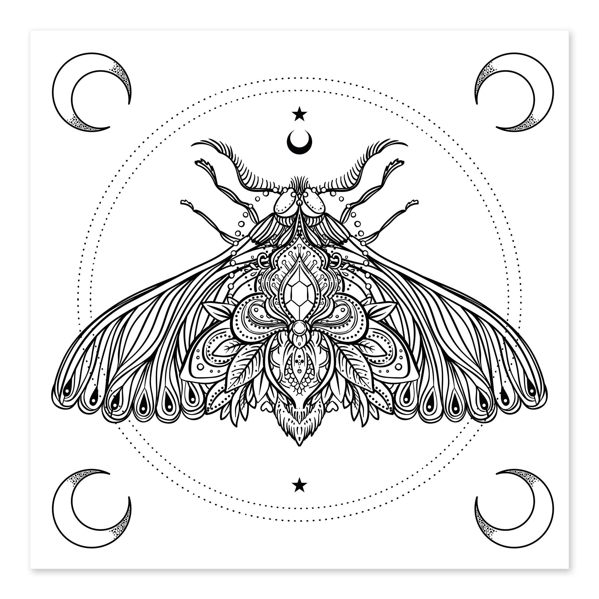 Moon moth von editors choice as a colouring poster
