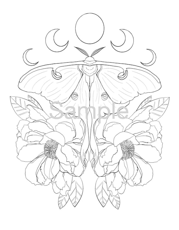 Luna moth and peonies coloring page download now