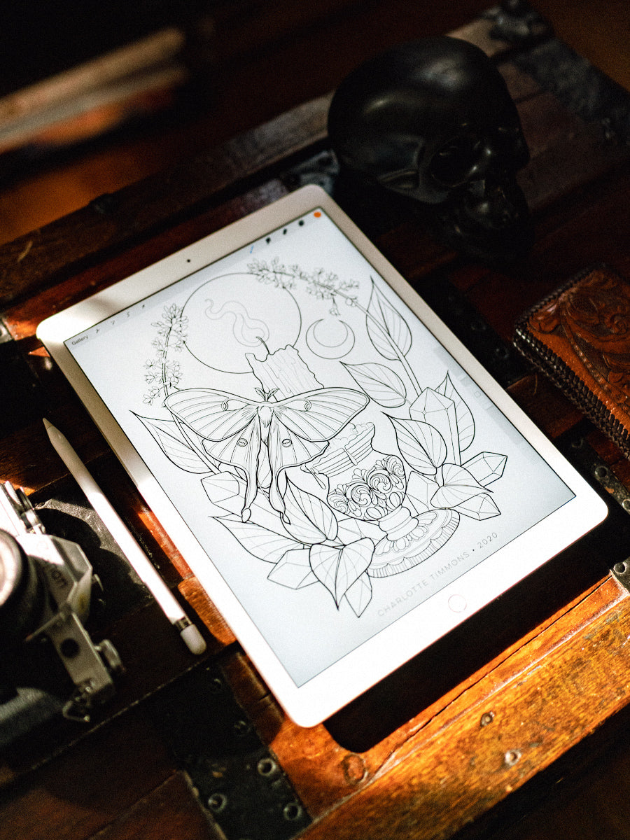 Luna moth coloring sheet