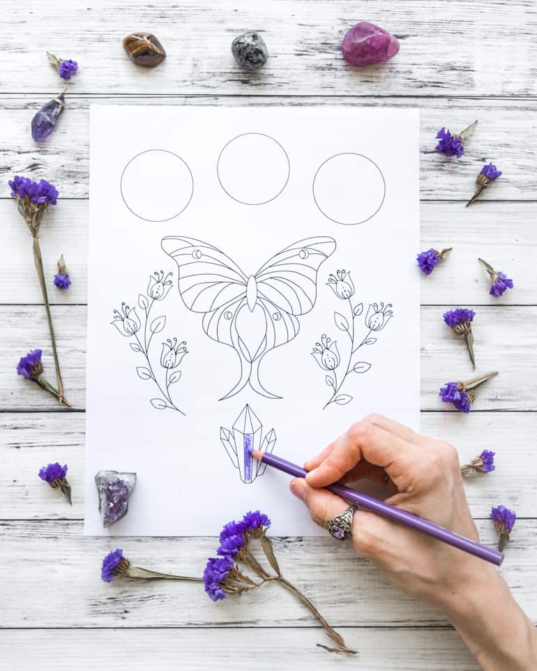 Free printable luna moth coloring page