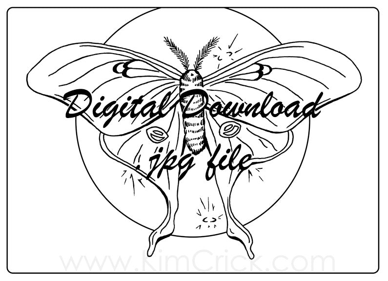 Digital file