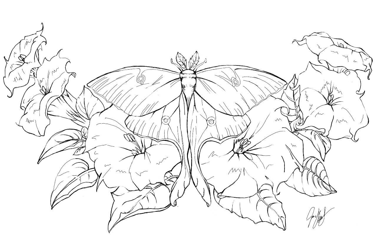 Lunar moth tattoo by apjay on