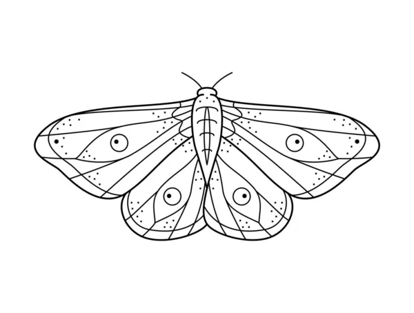 Luna moth vector images