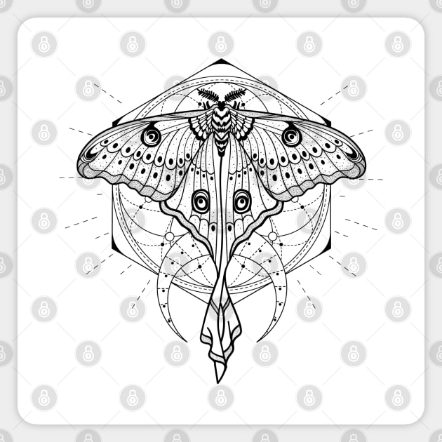 Luna moth