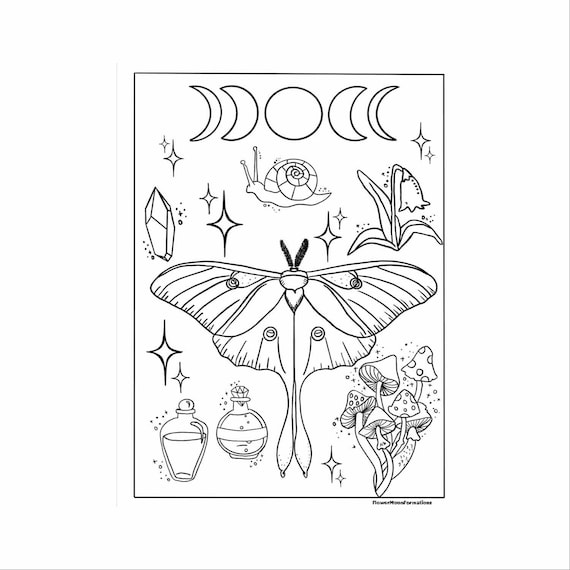 Luna moth skurrile ausmalseite ausmalseite fãr erwachsene