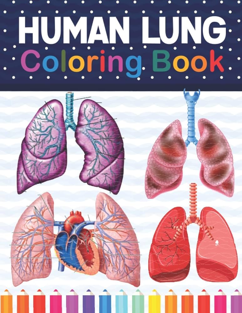 Human lung coloring book human lung anatomy self test guide for anatomy students lung art anatomy workbook for kids adults perfect gift for coloring workbook for anatomy students