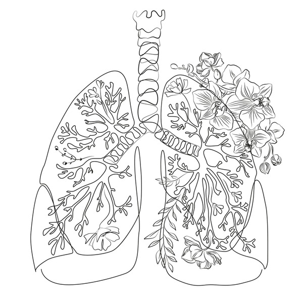 Bronchi art royalty