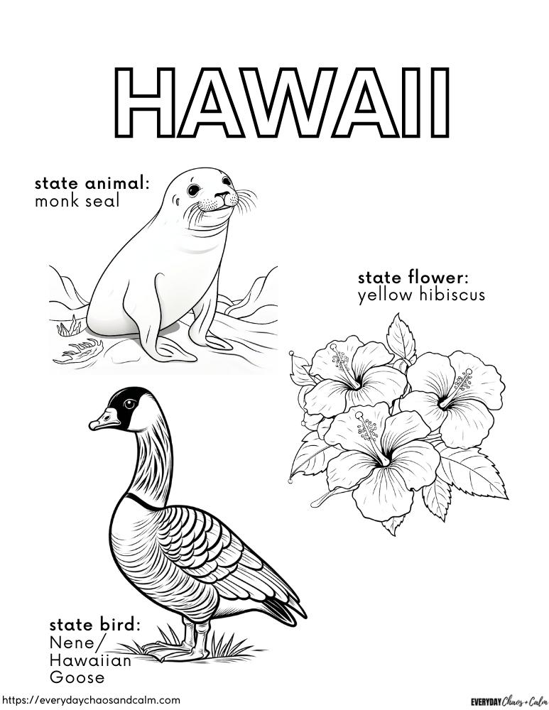 Free educational hawaii coloring pages for kids