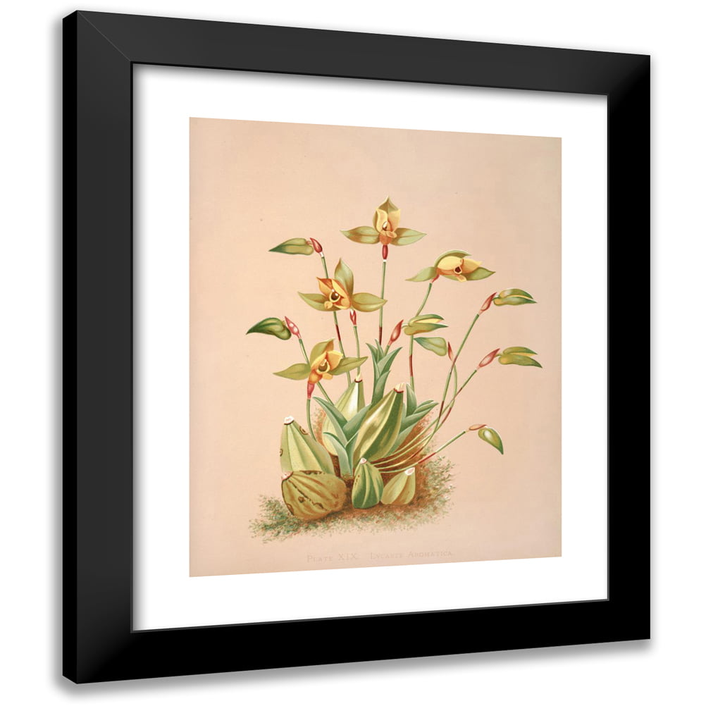 Harriet stewart miner x black modern framed museum art print titled