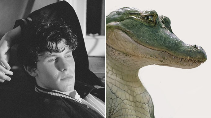 Shawn mendes to voice main character in sonys lyle lyle crocodile â