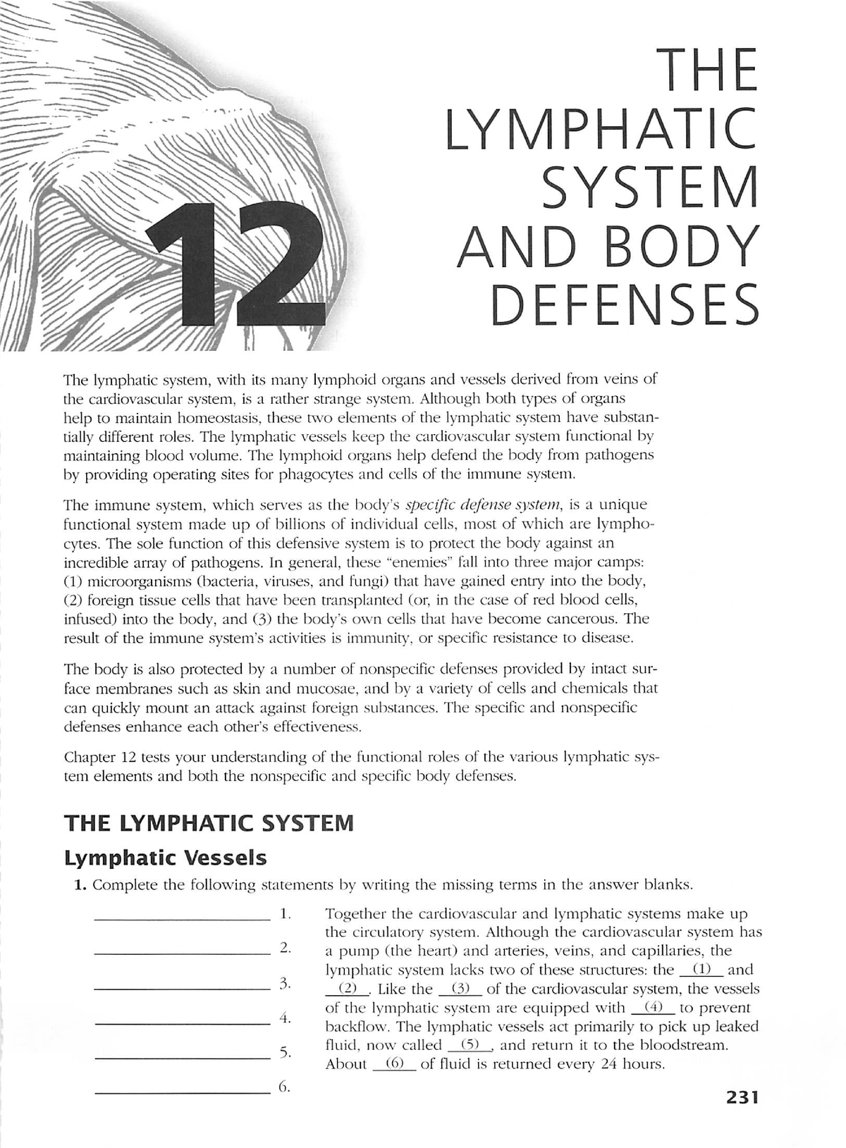 Ap coloring workbook the lymphatic system and body defenses