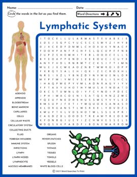 Lymphatic system activities tpt