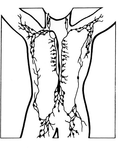 Lymph node definition functions