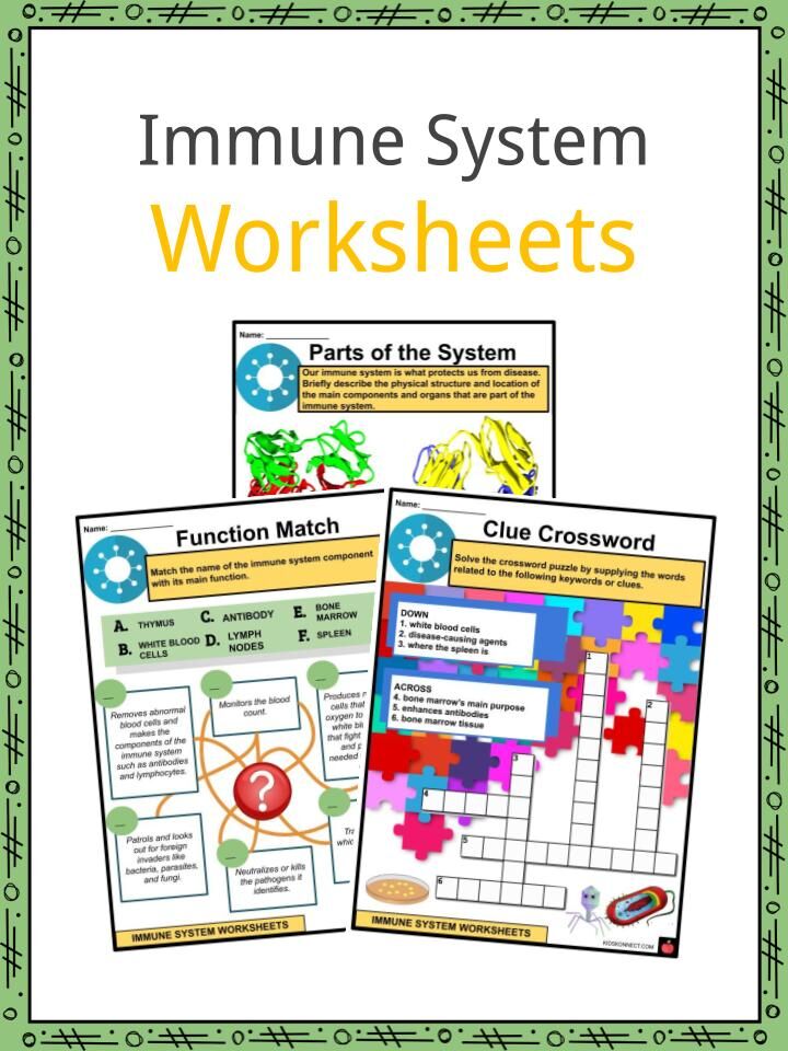 Immune system facts worksheets parts for kids