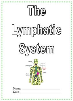Modified anatomy notes test lymphatic system unit differentiated special ed