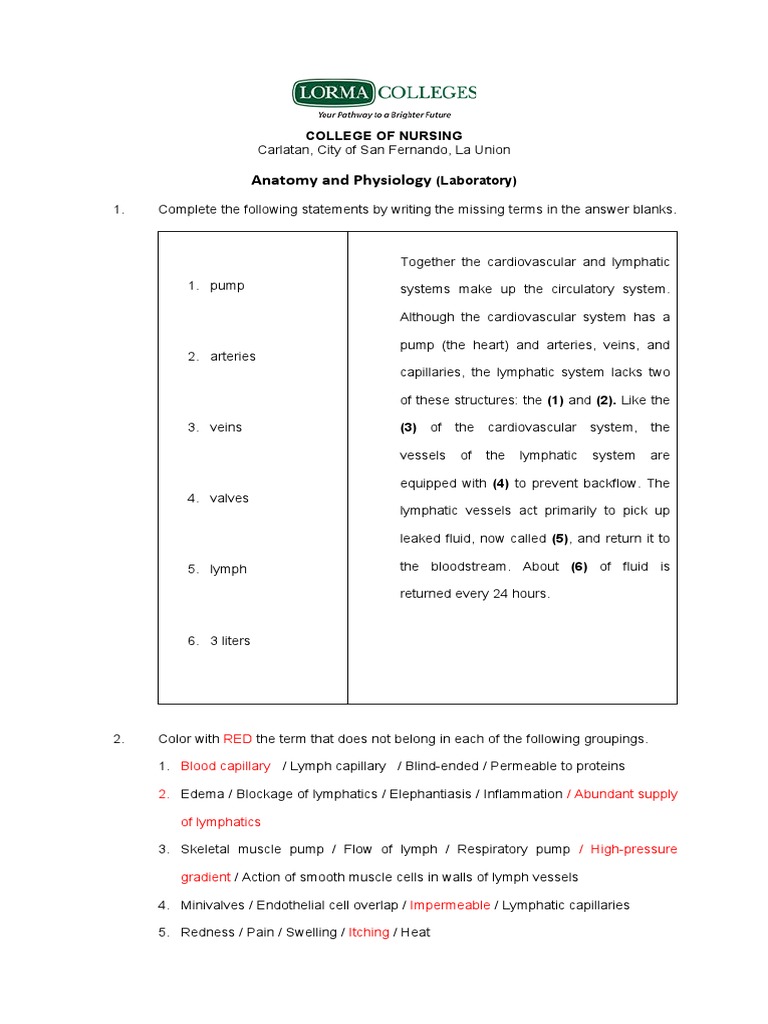 Week lm lymphatics pdf lymphatic system lymph node