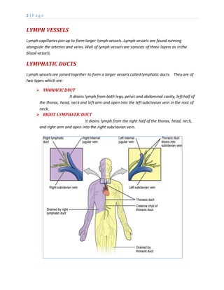 Lymphatic system pdf