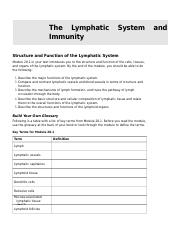 Lymphatic system immunity worksheetdoc