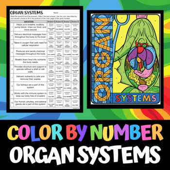 Body systems