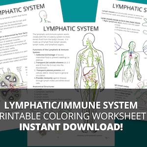 Immune system notes