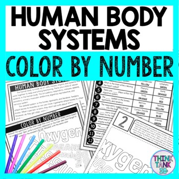 Human body systems color by number