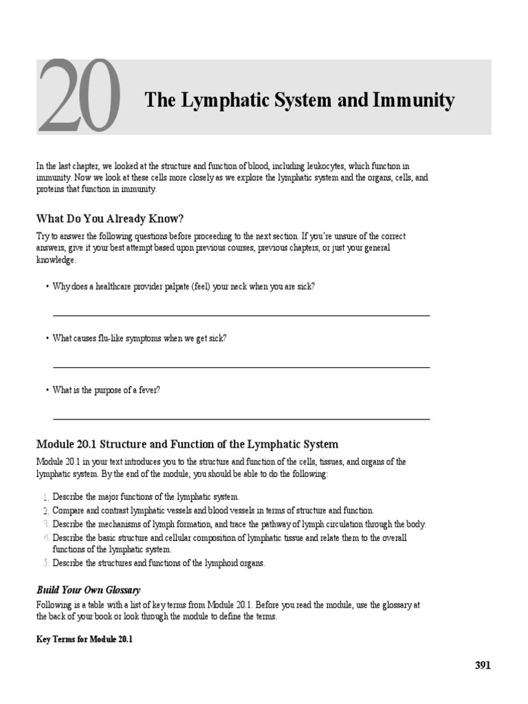 Amerman papw chapter pdf lymphatic system adaptive immune system