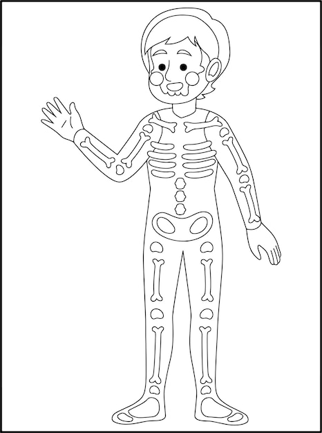 Page anatomy coloring images
