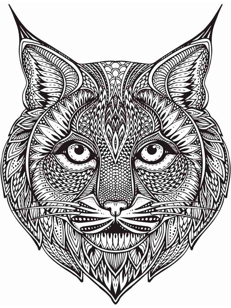 Lynx coloring pages for adults