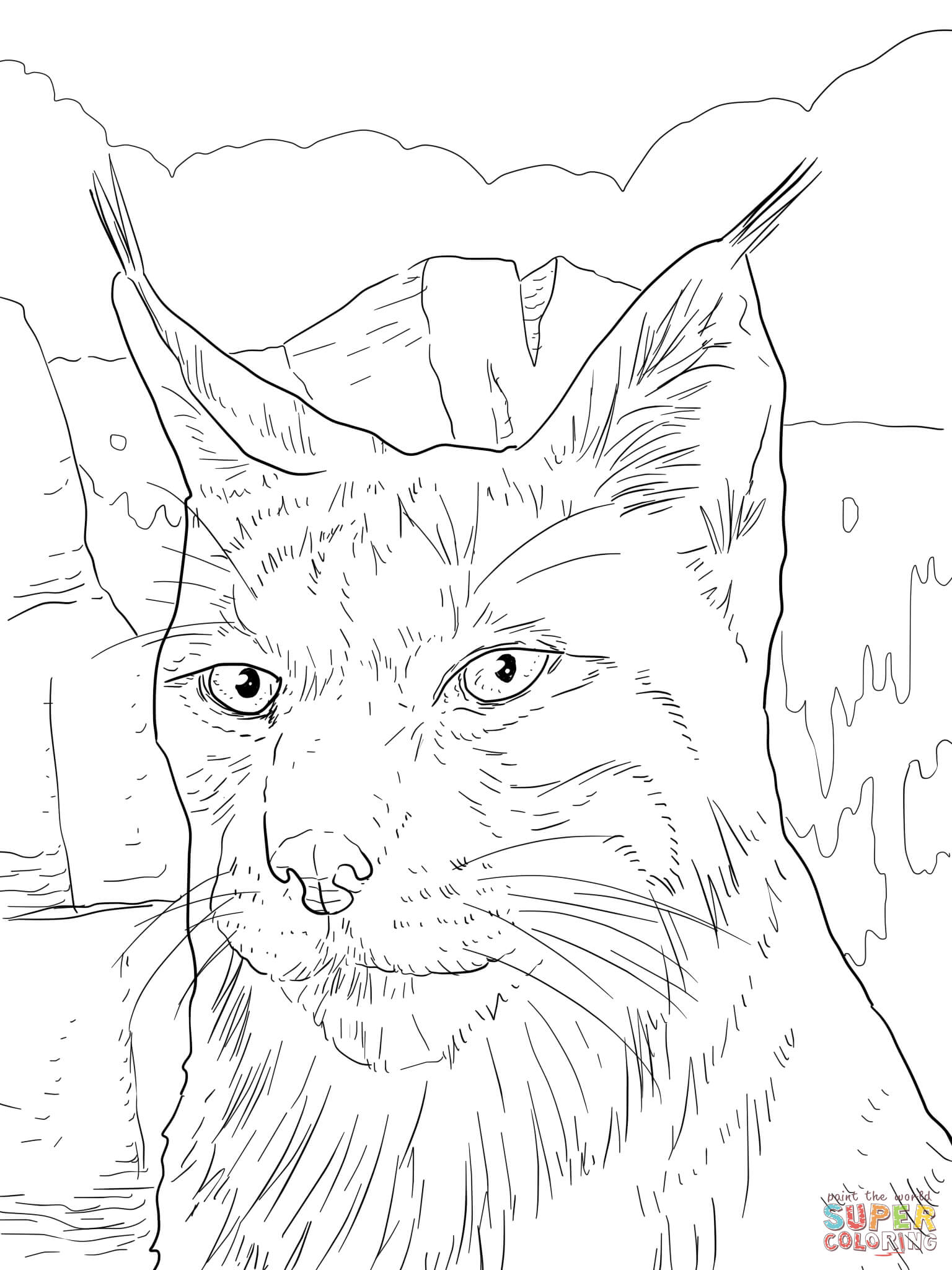 Iberian lynx portrait coloring page free printable coloring pages